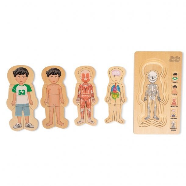 Houten lagenpuzzel jongenslichaam met 5 lagen