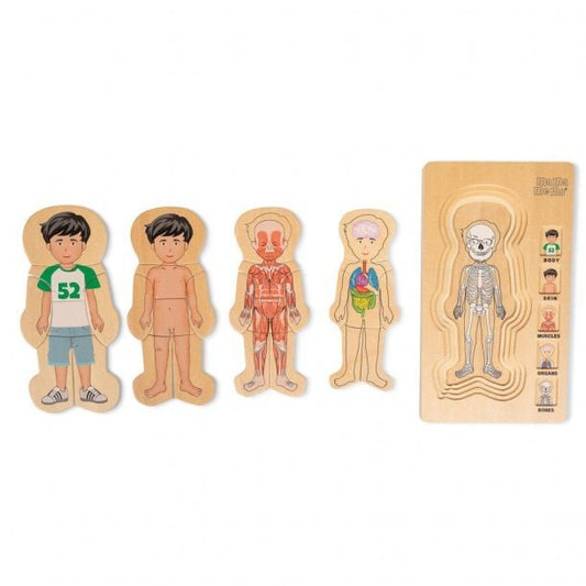 Houten lagenpuzzel jongenslichaam met 5 lagen