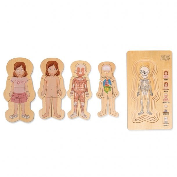 Houten lagenpuzzel meisjeslichaam van 5 lagen